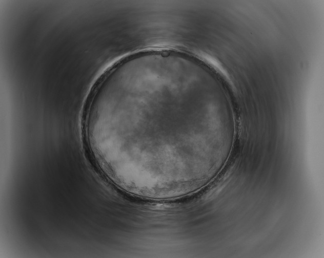 X0000094901412200712271443