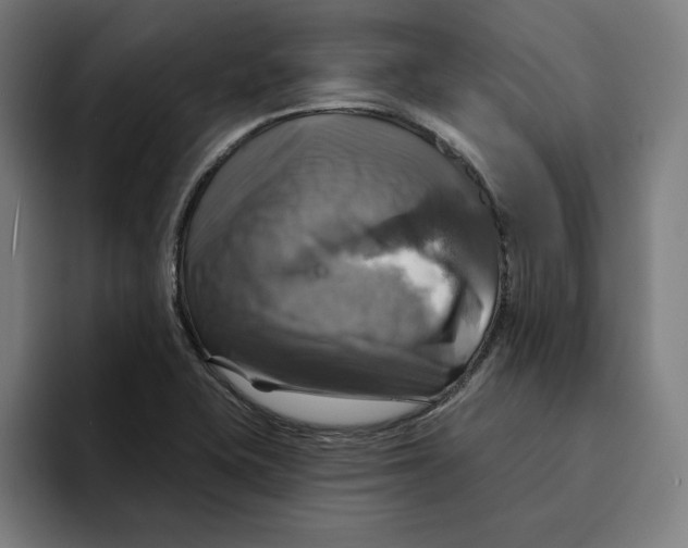 X0000094901415200712271443