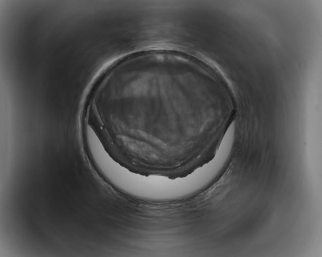 X0000094901416200712271443