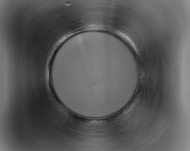 X0000094901419200712271443