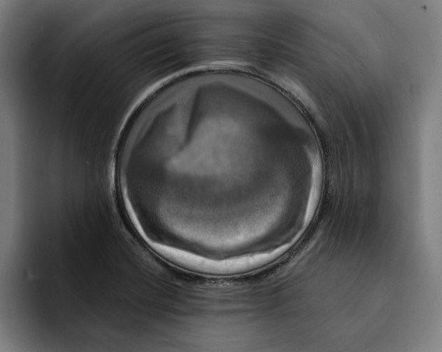 X0000094901420200712271443