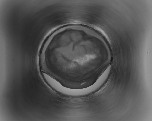 X0000094901424200712271443