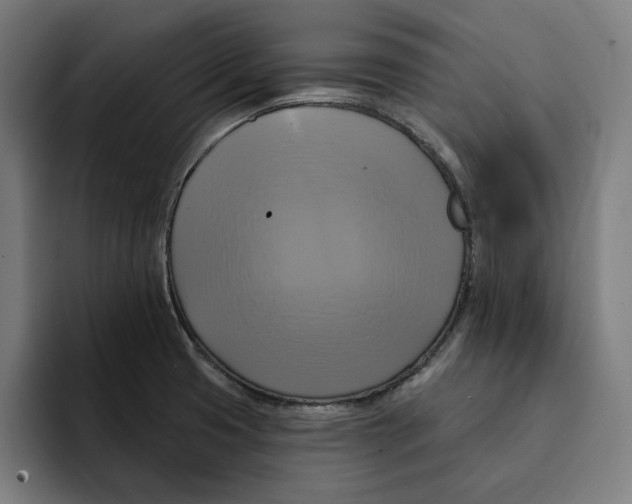 X0000094901425200712271443