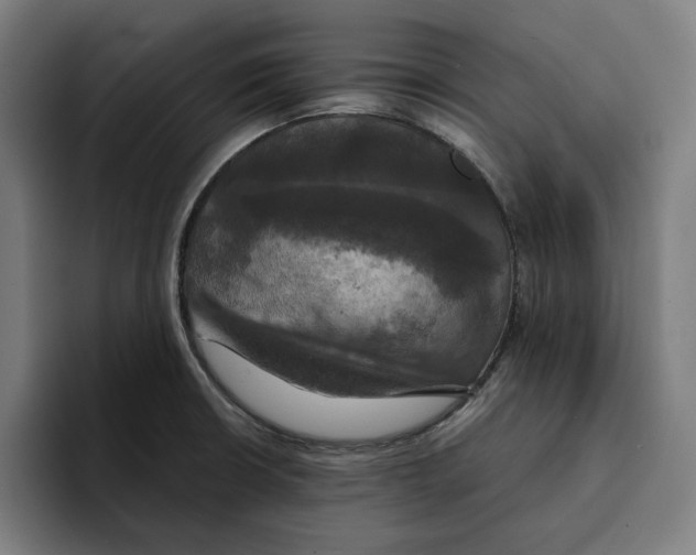 X0000094901426200712271443