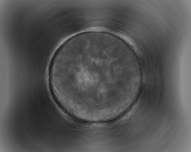 X0000094901430200712271443