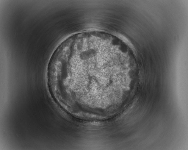 X0000094901431200712271443