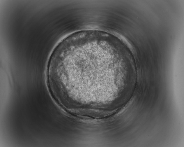 X0000094901432200712271443