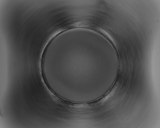 X0000094901434200712271443