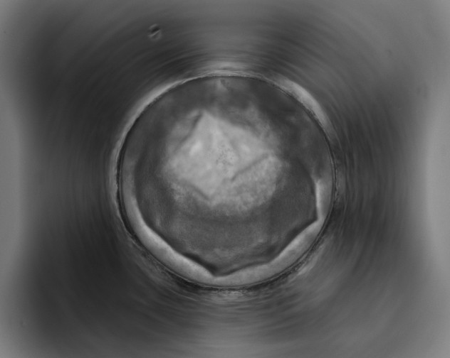 X0000094901435200712271443