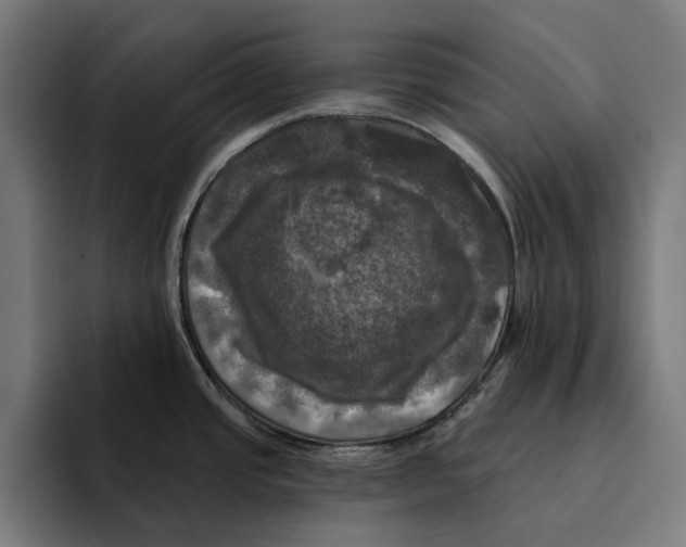 X0000094901437200712271443