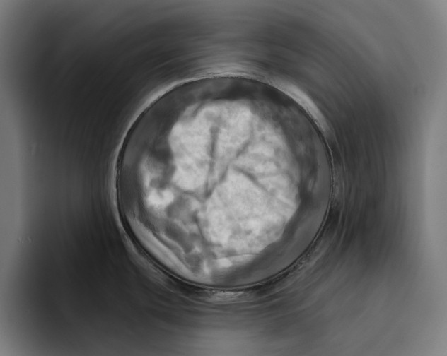 X0000094901439200712271443