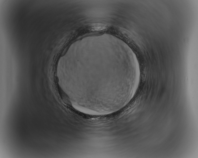 X0000094901441200712271443