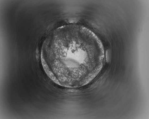 X0000094901443200712271443