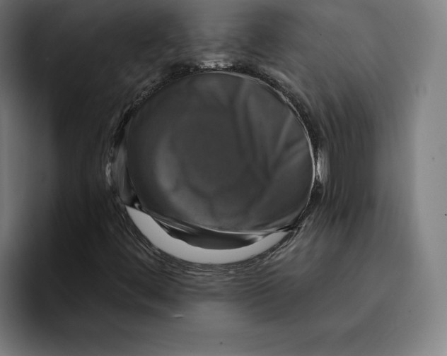 X0000094901444200712271443