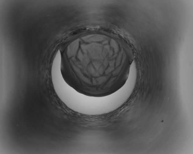 X0000094901445200712271443