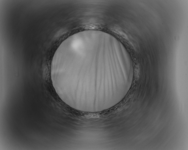 X0000094901446200712271443