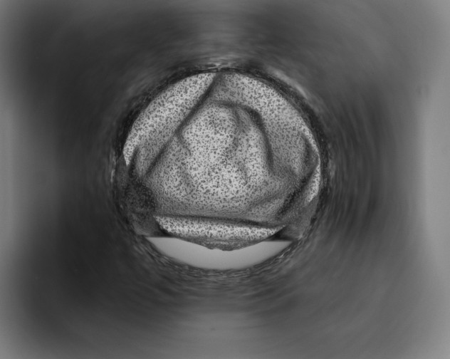 X0000094901447200712271443