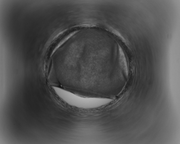 X0000094901448200712271443