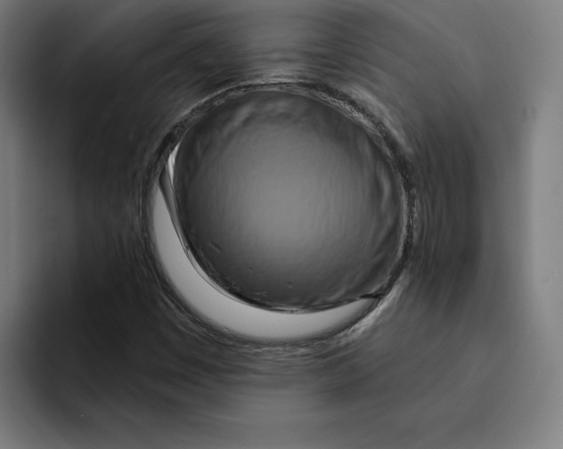 X0000094901449200712271443