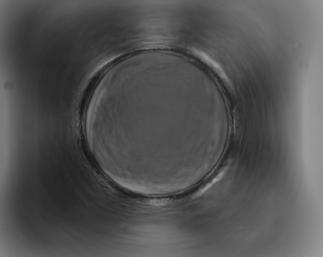 X0000094901453200712271443