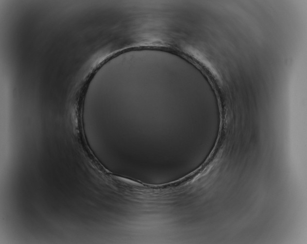 X0000094901455200712271443