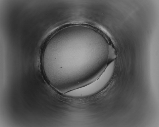 X0000094901456200712271443