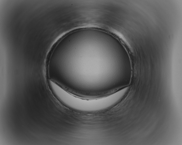 X0000094901460200712271442