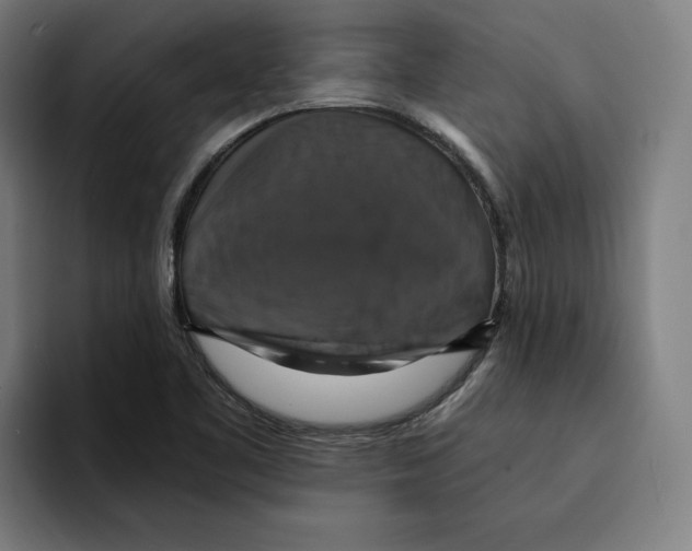 X0000094901461200712271442