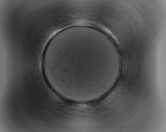 X0000094901463200712271442