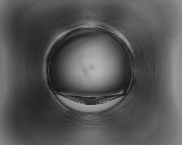 X0000094901464200712271442