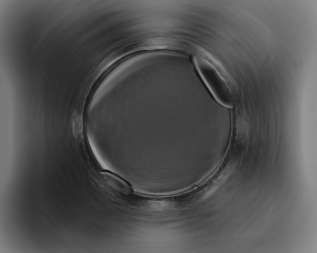 X0000094901465200712271442