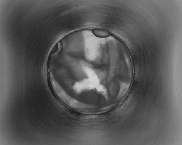 X0000094901467200712271442