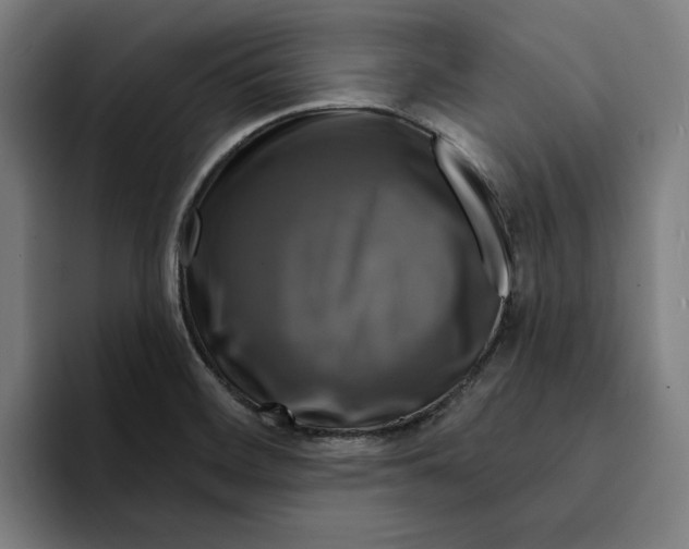 X0000094901468200712271442