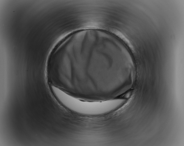 X0000094901469200712271442