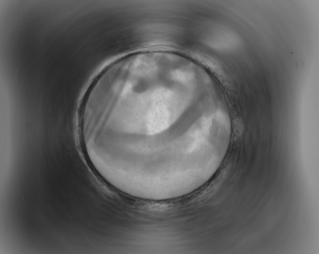 X0000094901470200712271442