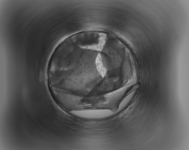 X0000094901471200712271442