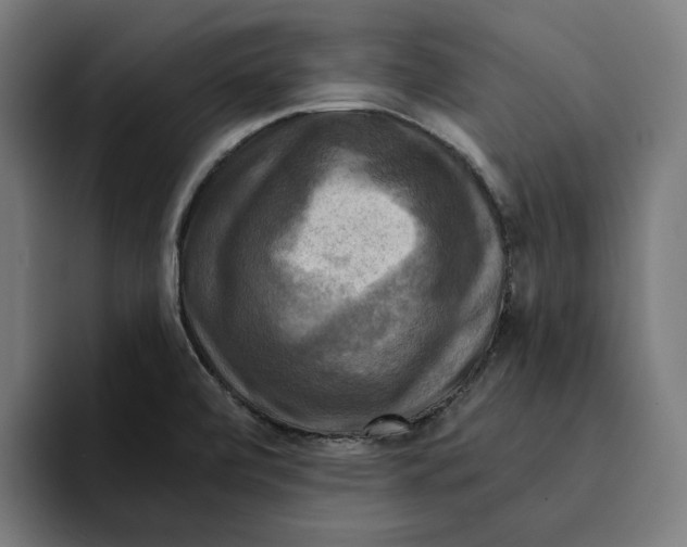 X0000094901472200712271442