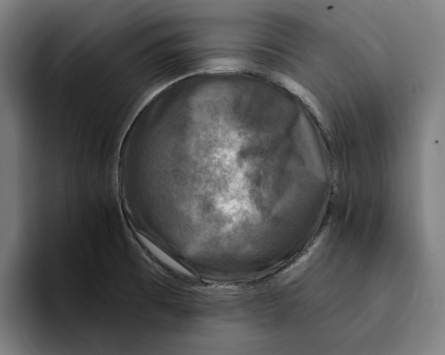 X0000094901473200712271442