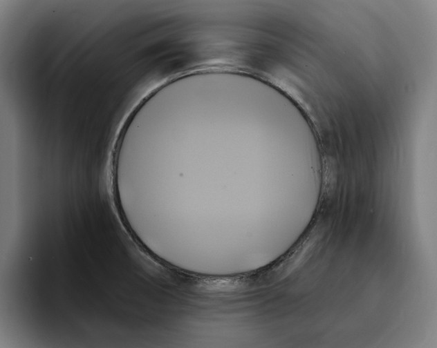 X0000094901474200712271442