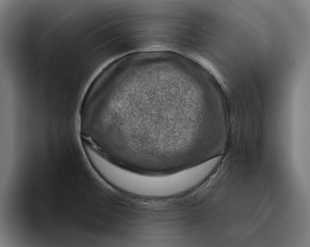 X0000094901476200712271442