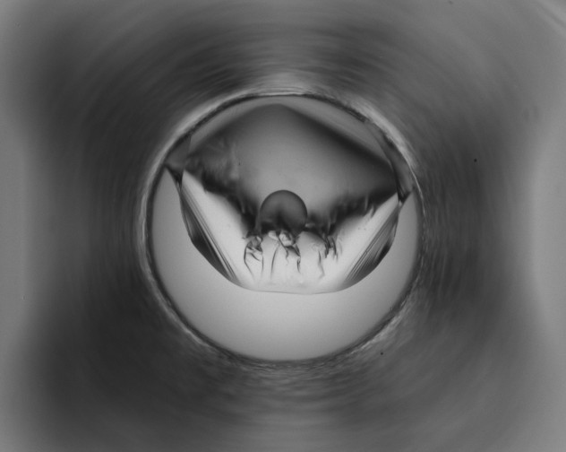 X0000094901477200712271442