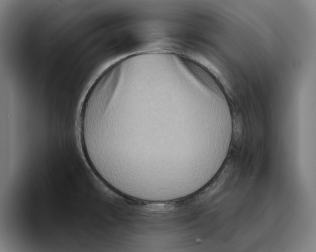 X0000094901478200712271442