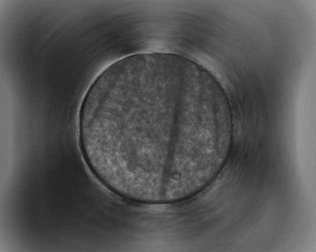 X0000094901479200712271442