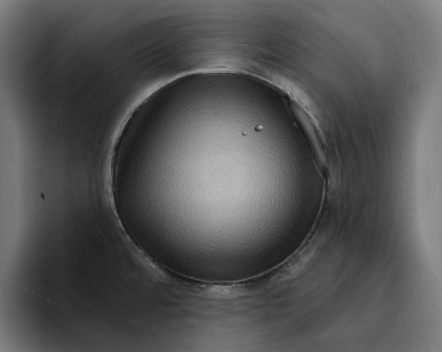 X0000094901480200712271442