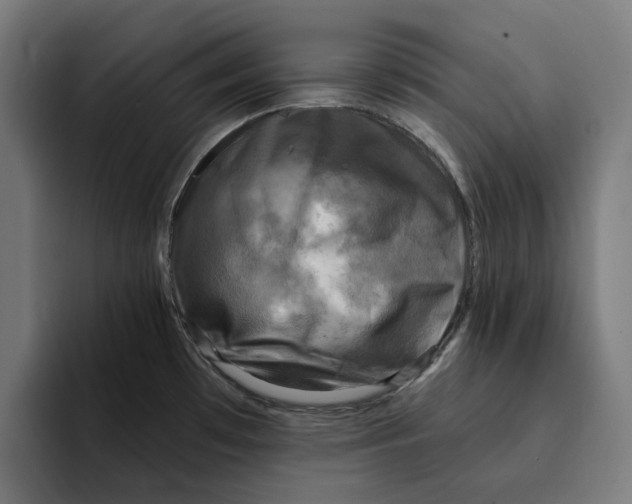 X0000094901481200712271442