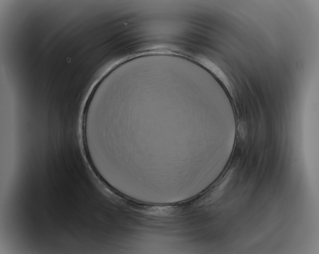 X0000094901482200712271442