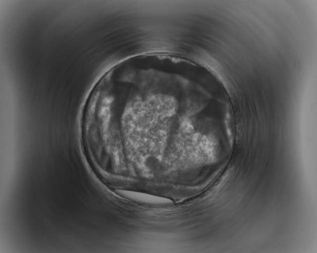 X0000094901483200712271442