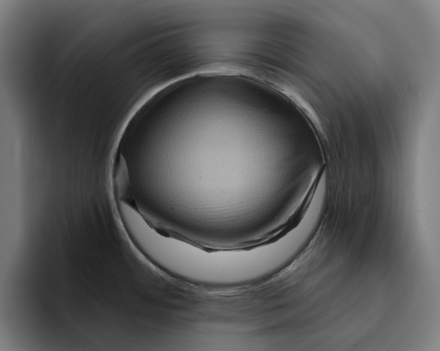 X0000094901484200712271442