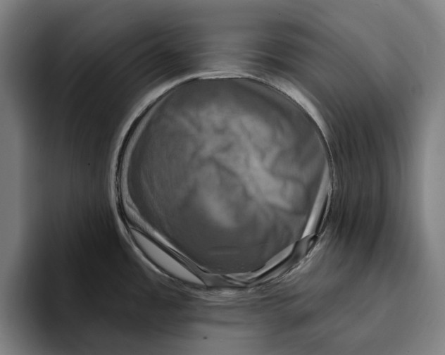 X0000094901485200712271442