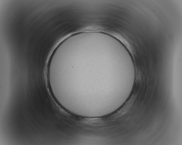 X0000094901486200712271442